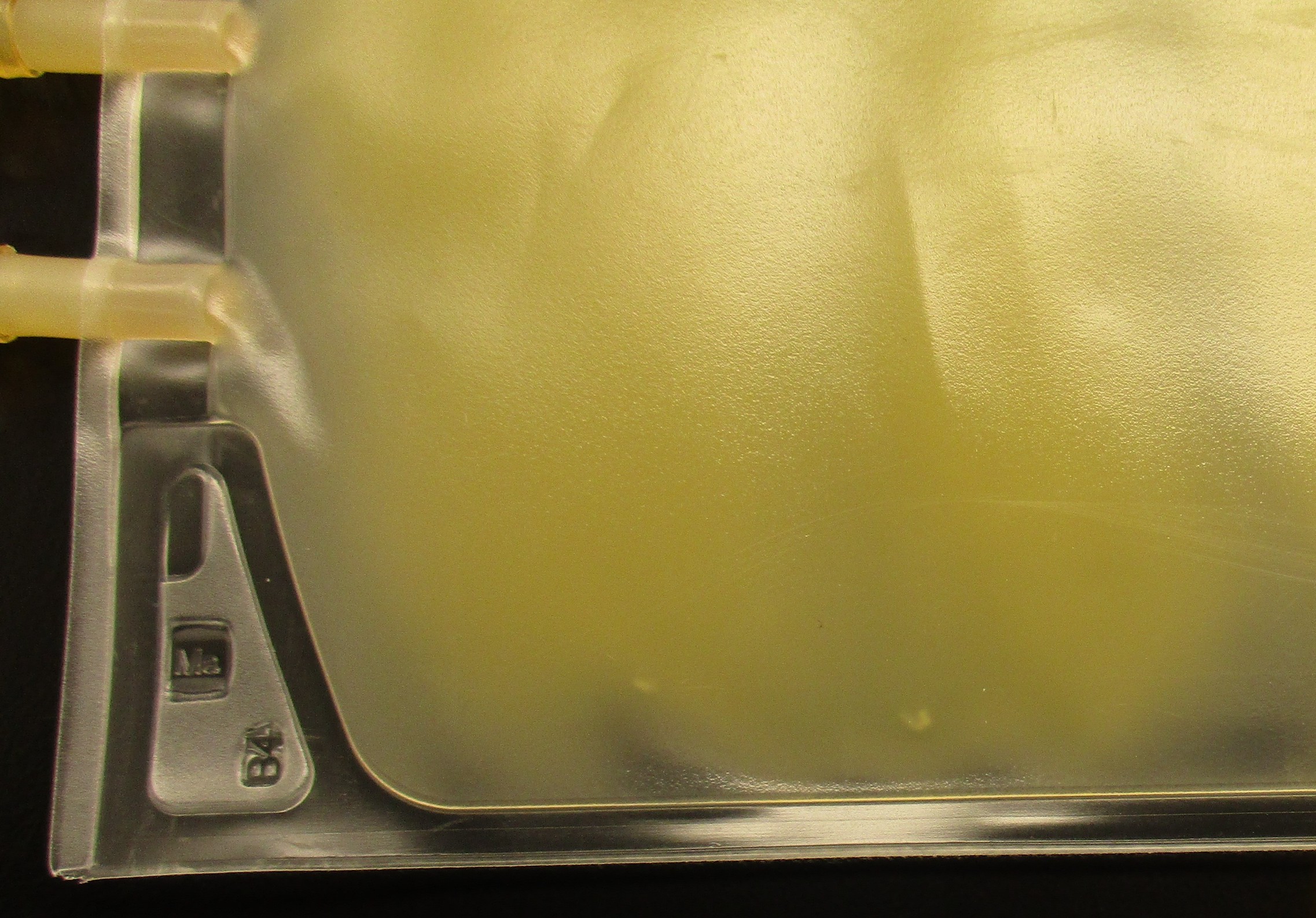 Platelets: Particulate matter | Professional Education