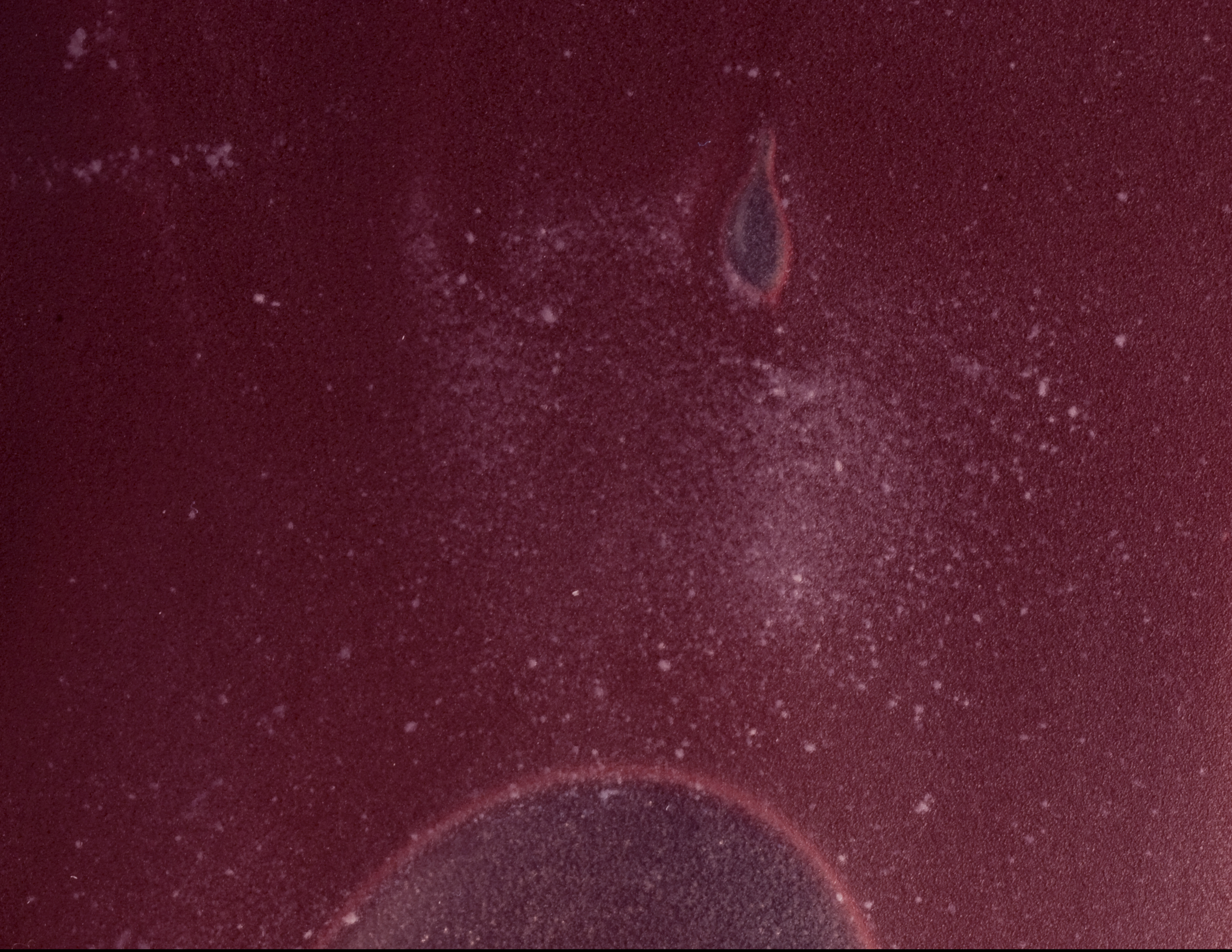 A close up view of many small white dots in a red cell unit.
