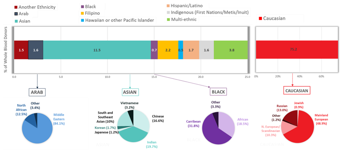 Infographic showing the self-reported ethnic group composition for whole blood donors in 2023.