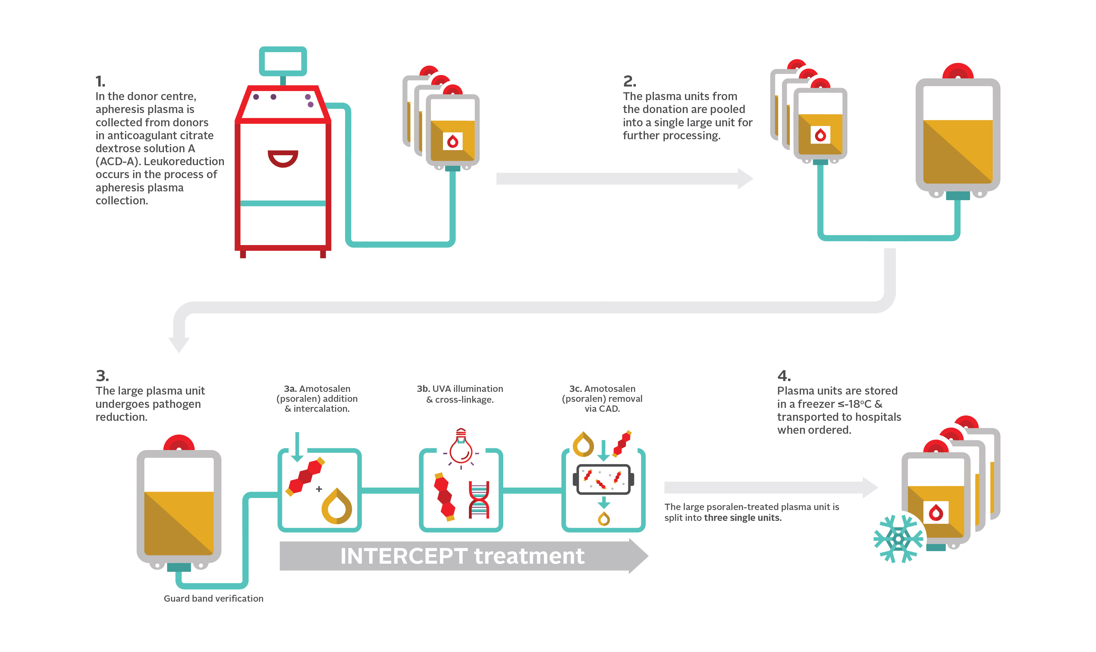 Figure 1. Illustration of the pathogen reduction process used by Canadian Blood Services in the production of apheresis frozen plasma, psoralen-treated. 