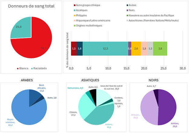 Figure 19. Composition des groupes ethniques autodéclarés par les donneurs de sang total, 2024.