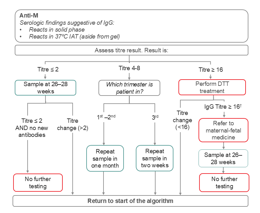 Suggested Prenatal Testing Algorithm for Anti-M