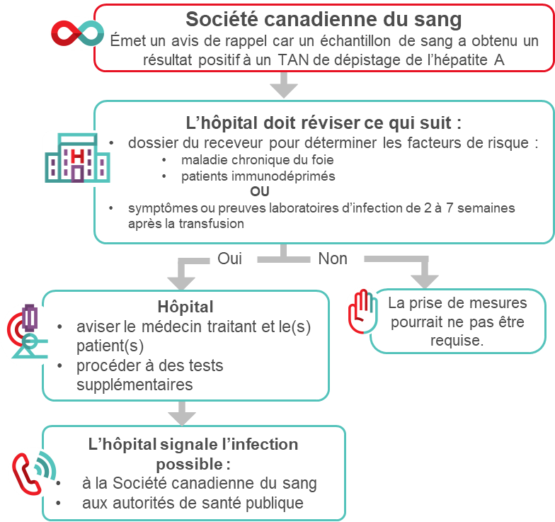 Algorithme suggéré pour le personnel hospitalier responsable de la transfusion pour gérer un rappel de produits en raison de l’obtention d’un résultat positif à un TAN.