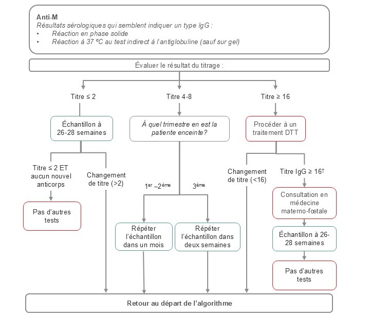 Algorithme suggéré pour le dépistage prénatal des anticorps anti-M.