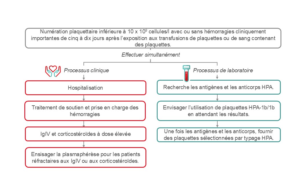 Gestion d’un purpura post-transfusionnel