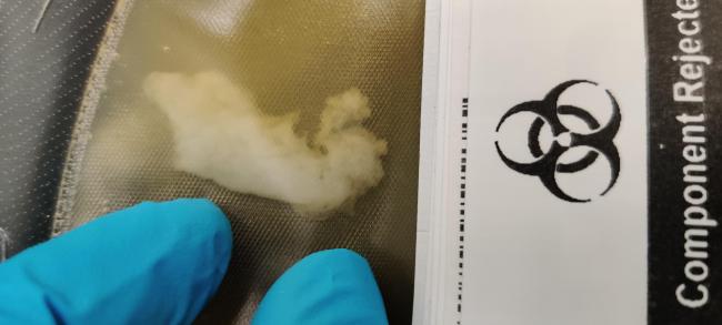 Plasma: Particulate matter | Professional Education