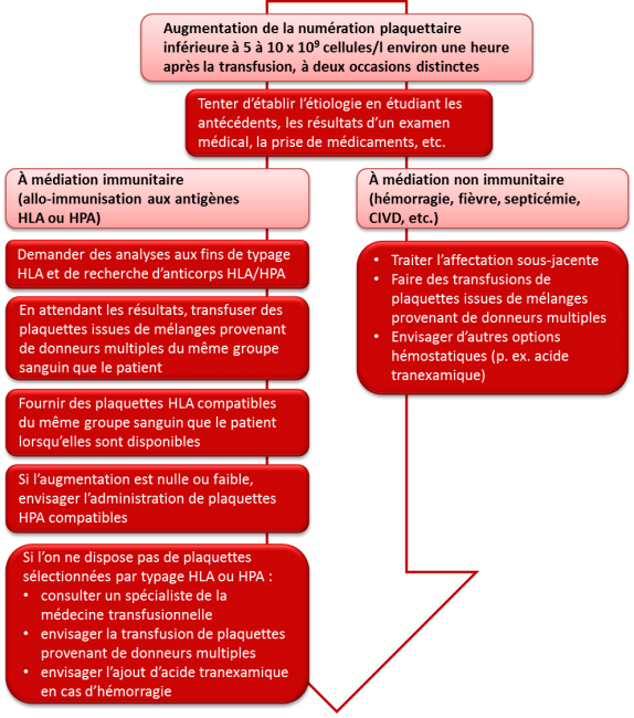 Transfusion de plaquettes, l'allo-immunisation et la prise en charge de  l'état réfractaire aux plaquettes
